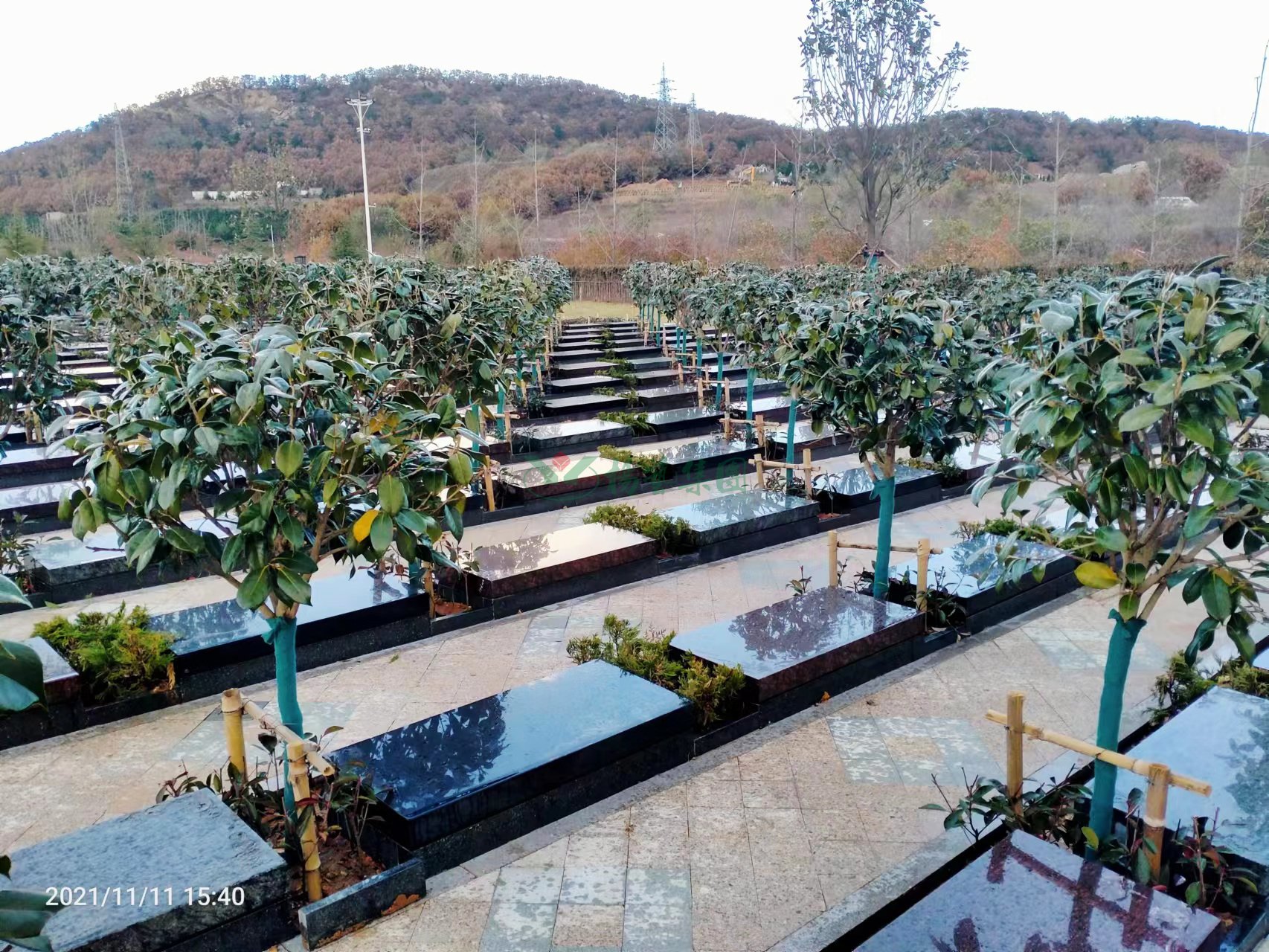 ��ҳ - ���ɱ����ǹ��ʹٷ���վ