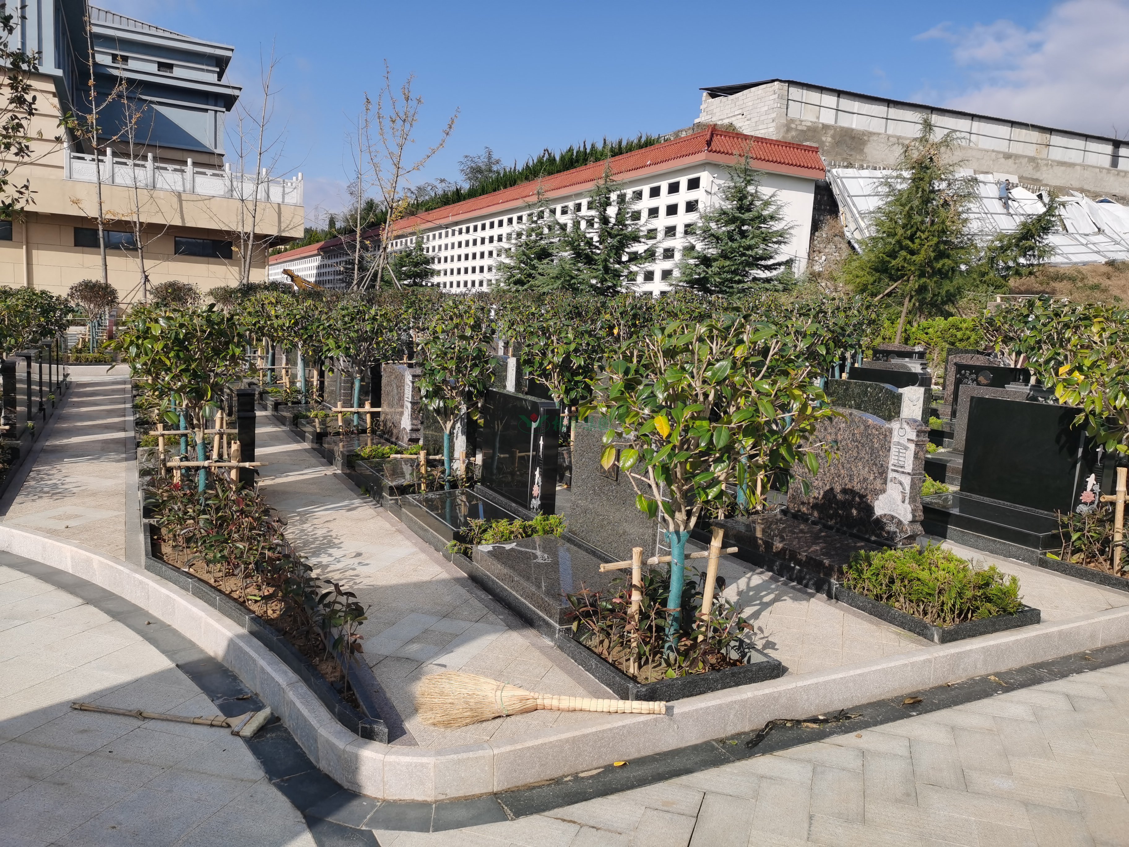 ��ҳ - ���ɱ����ǹ��ʹٷ���վ