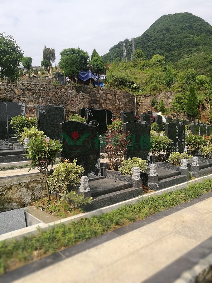 ��ҳ - ���ɱ����ǹ��ʹٷ���վ