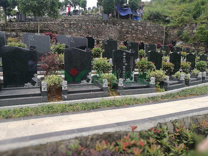 ��ҳ - ���ɱ����ǹ��ʹٷ���վ