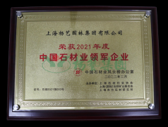 2021 �й�ʯ��ҵ�����ҵ