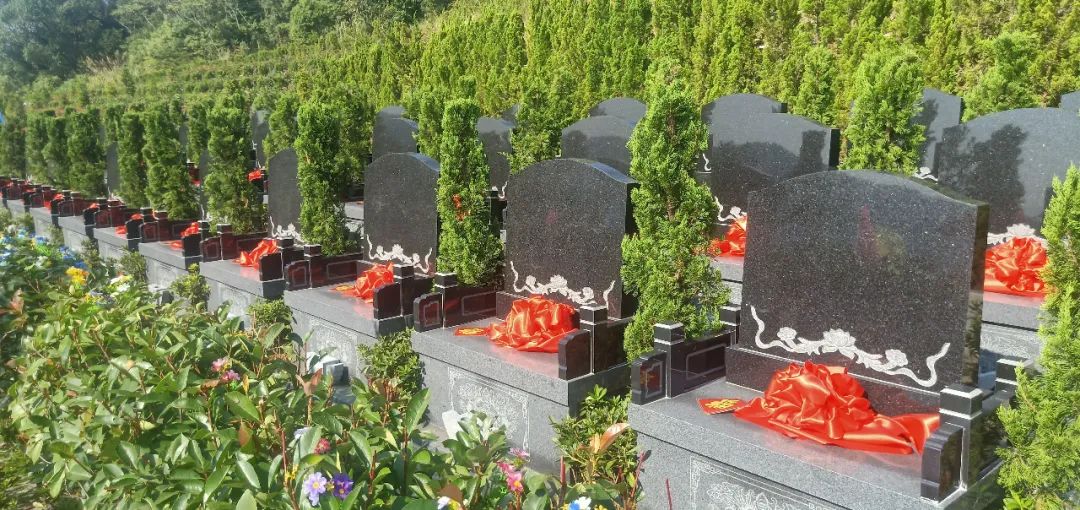 ��ҳ - ���ɱ����ǹ��ʹٷ���վ