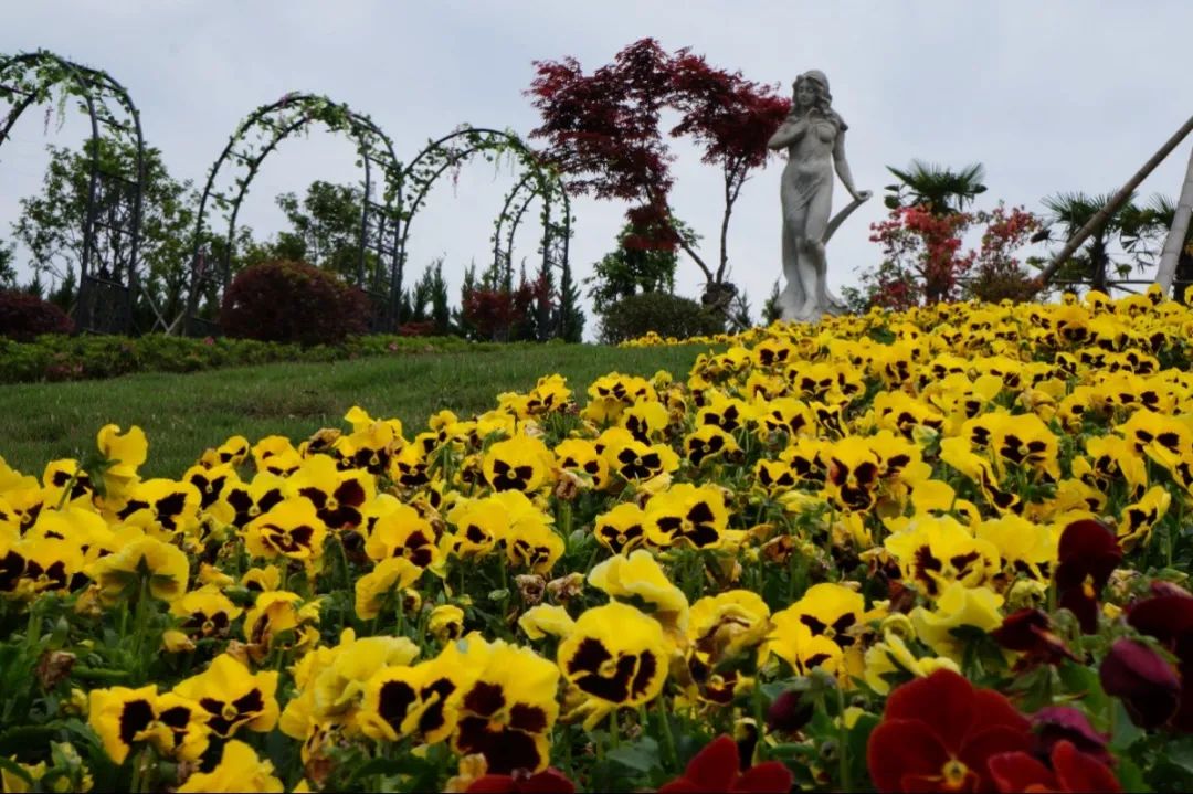 ��ҳ - ���ɱ����ǹ��ʹٷ���վ