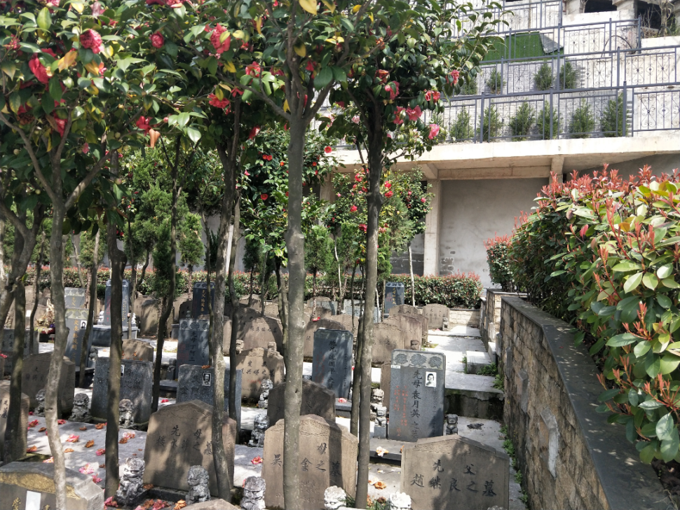 ��ҳ - ���ɱ����ǹ��ʹٷ���վ