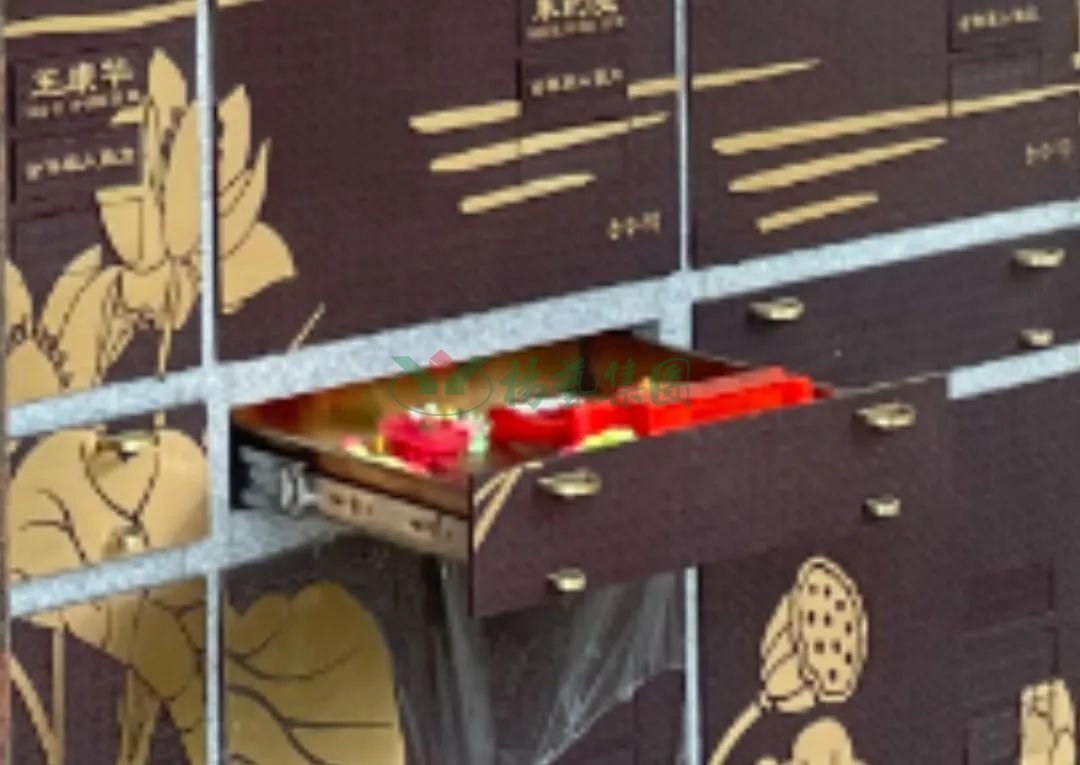 ��ҳ - ���ɱ����ǹ��ʹٷ���վ