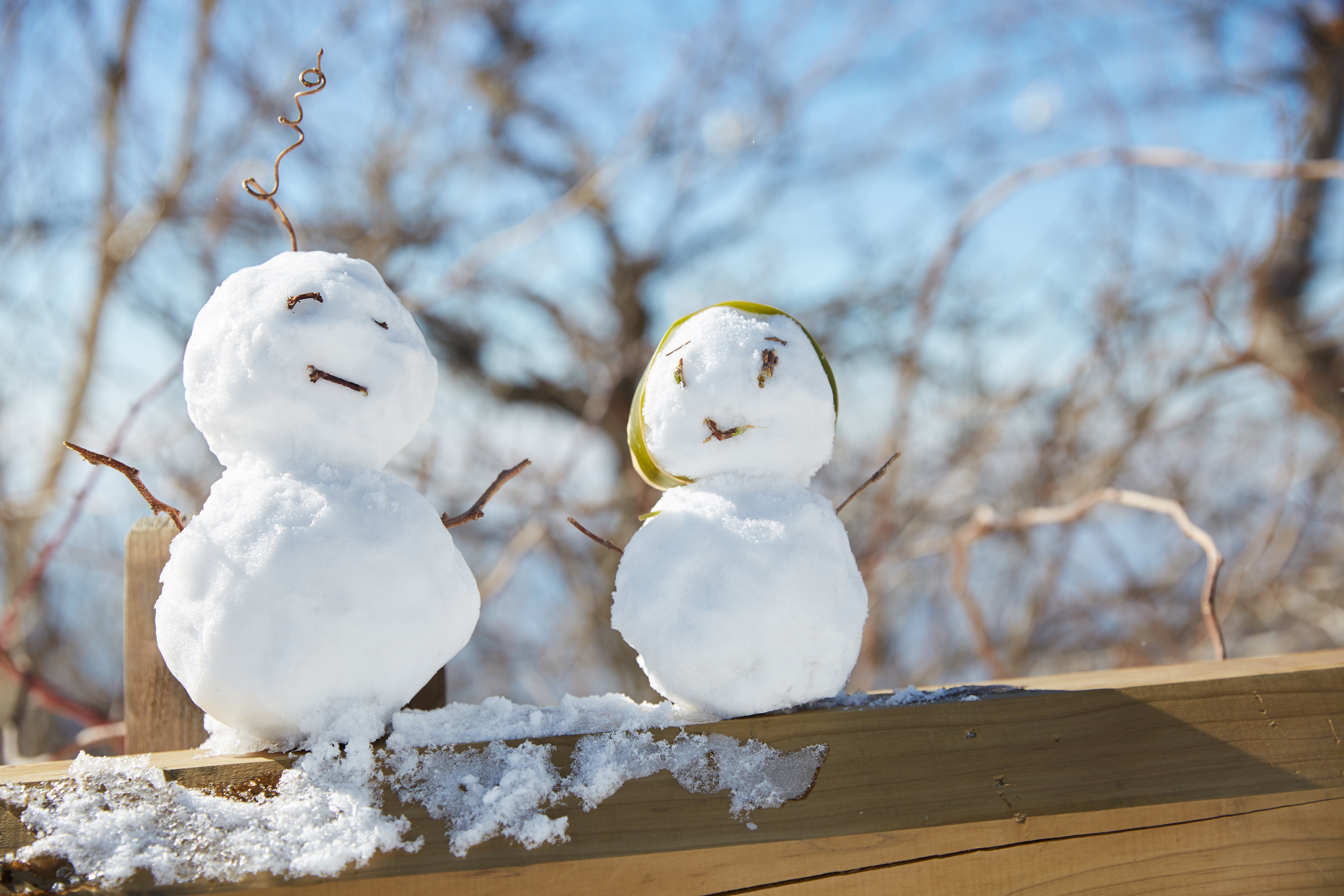 ������ů������ | ���ɱ�������ȫ����ͬ��Ĺ԰��������