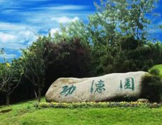 �Ͼ����껨̨����԰