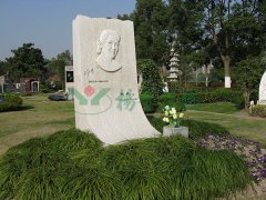 �Ϲ�����