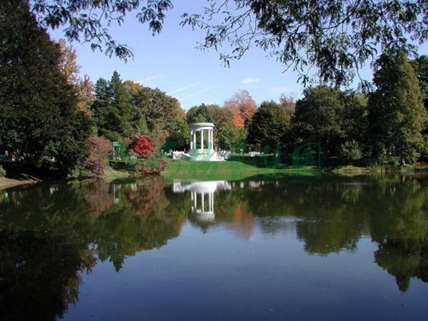 ��ҳ - ���ɱ����ǹ��ʹٷ���վ