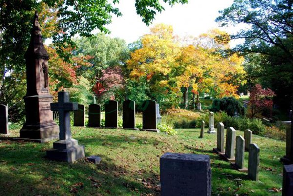 ��ҳ - ���ɱ����ǹ��ʹٷ���վ