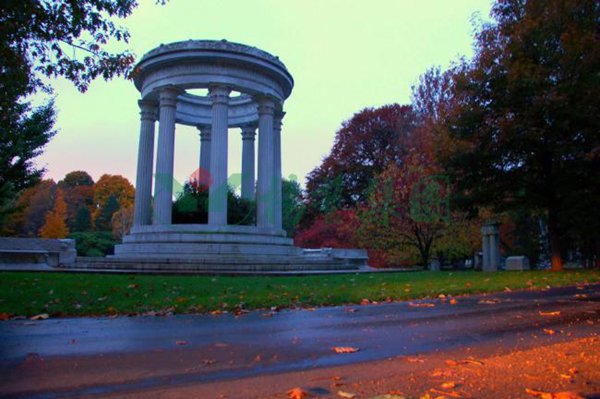 ��ҳ - ���ɱ����ǹ��ʹٷ���վ