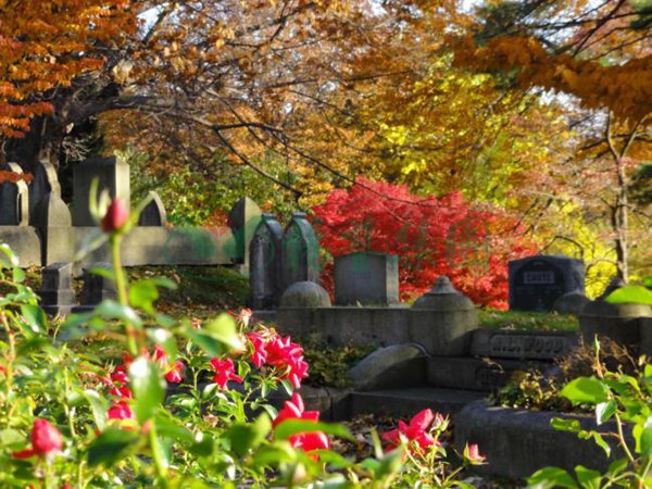 ��ҳ - ���ɱ����ǹ��ʹٷ���վ