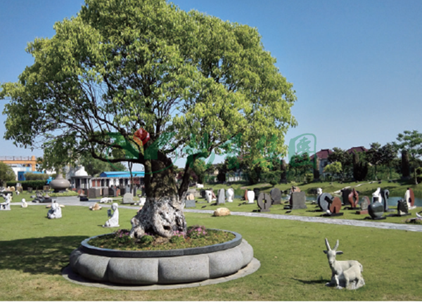 ��ҳ - ���ɱ����ǹ��ʹٷ���վ