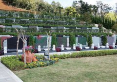 ��������԰�������ʻ��ᳫ�Ļ���ɨ