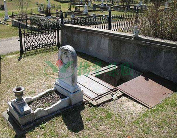 ��ҳ - ���ɱ����ǹ��ʹٷ���վ