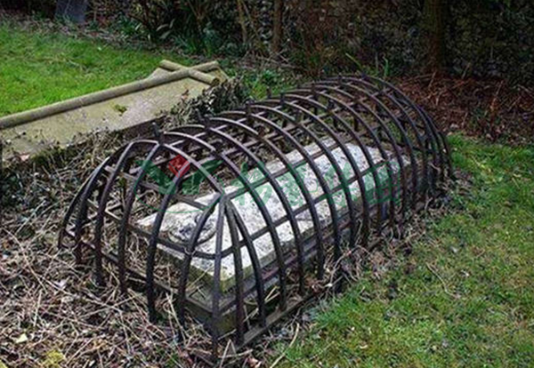 ��ҳ - ���ɱ����ǹ��ʹٷ���վ