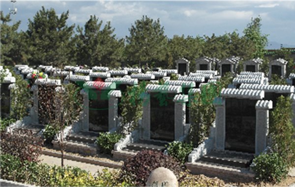 ��ҳ - ���ɱ����ǹ��ʹٷ���վ