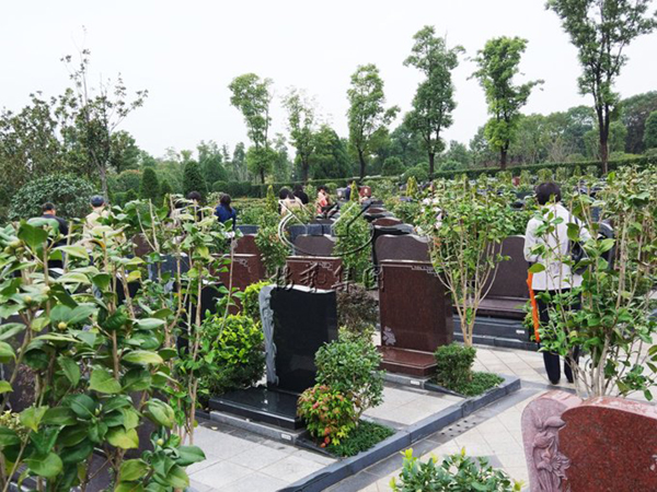 ��ҳ - ���ɱ����ǹ��ʹٷ���վ