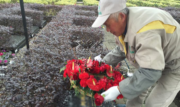 ��ҳ - ���ɱ����ǹ��ʹٷ���վ