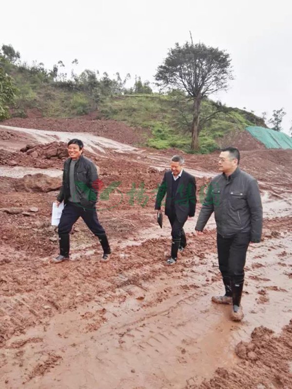 ��ҳ - ���ɱ����ǹ��ʹٷ���վ