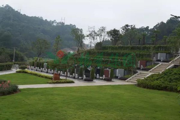 ��ҳ - ���ɱ����ǹ��ʹٷ���վ