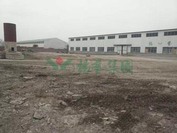 ��ҳ - ���ɱ����ǹ��ʹٷ���վ