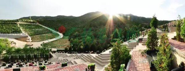 ��ҳ - ���ɱ����ǹ��ʹٷ���վ