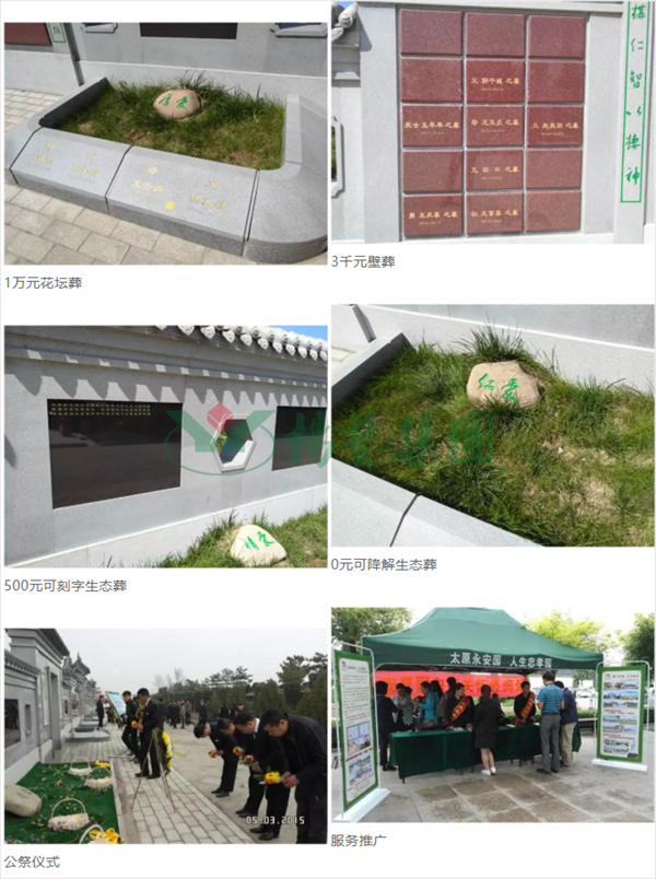 ��ҳ - ���ɱ����ǹ��ʹٷ���վ