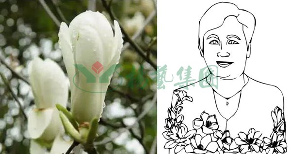 ��ҳ - ���ɱ����ǹ��ʹٷ���վ