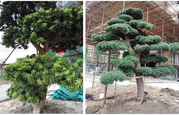 ��ҳ - ���ɱ����ǹ��ʹٷ���վ