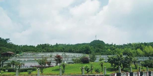 ��ҳ - ���ɱ����ǹ��ʹٷ���վ