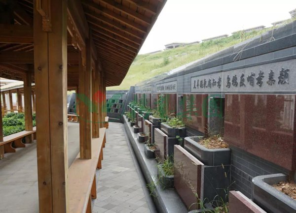 ��ҳ - ���ɱ����ǹ��ʹٷ���վ