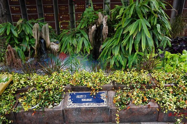 ��ҳ - ���ɱ����ǹ��ʹٷ���վ