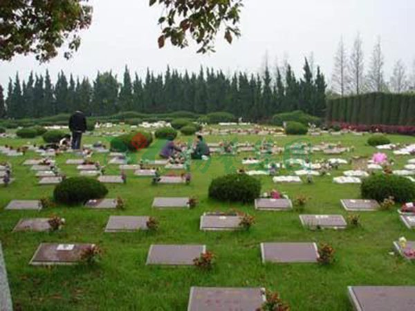 ��ҳ - ���ɱ����ǹ��ʹٷ���վ