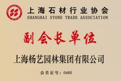 �Ϻ�ʯ����ҵЭ�ḱ�᳤��Ԫ