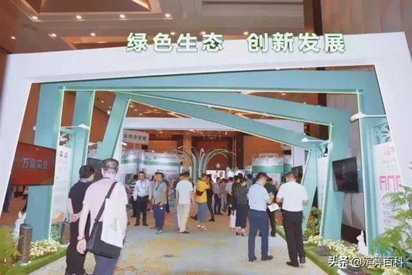 ��ҳ - ���ɱ����ǹ��ʹٷ���վ