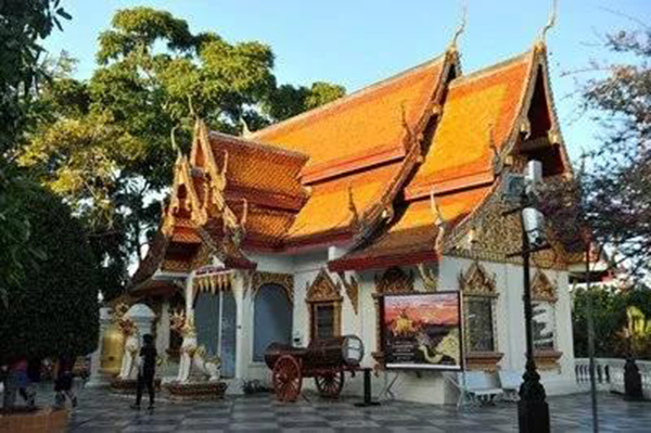 ��ҳ - ���ɱ����ǹ��ʹٷ���վ