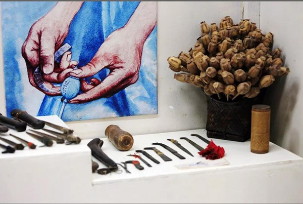 ��ҳ - ���ɱ����ǹ��ʹٷ���վ