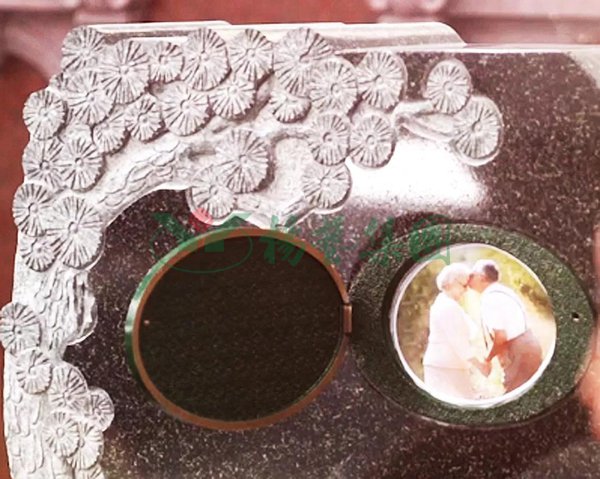 ��ҳ - ���ɱ����ǹ��ʹٷ���վ