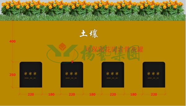 ��ҳ - ���ɱ����ǹ��ʹٷ���վ