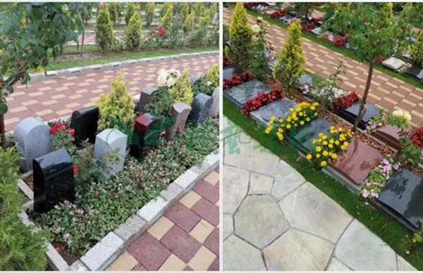 ��ҳ - ���ɱ����ǹ��ʹٷ���վ