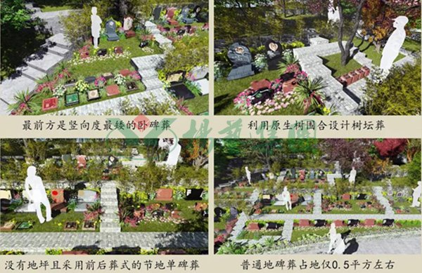 ��ҳ - ���ɱ����ǹ��ʹٷ���վ