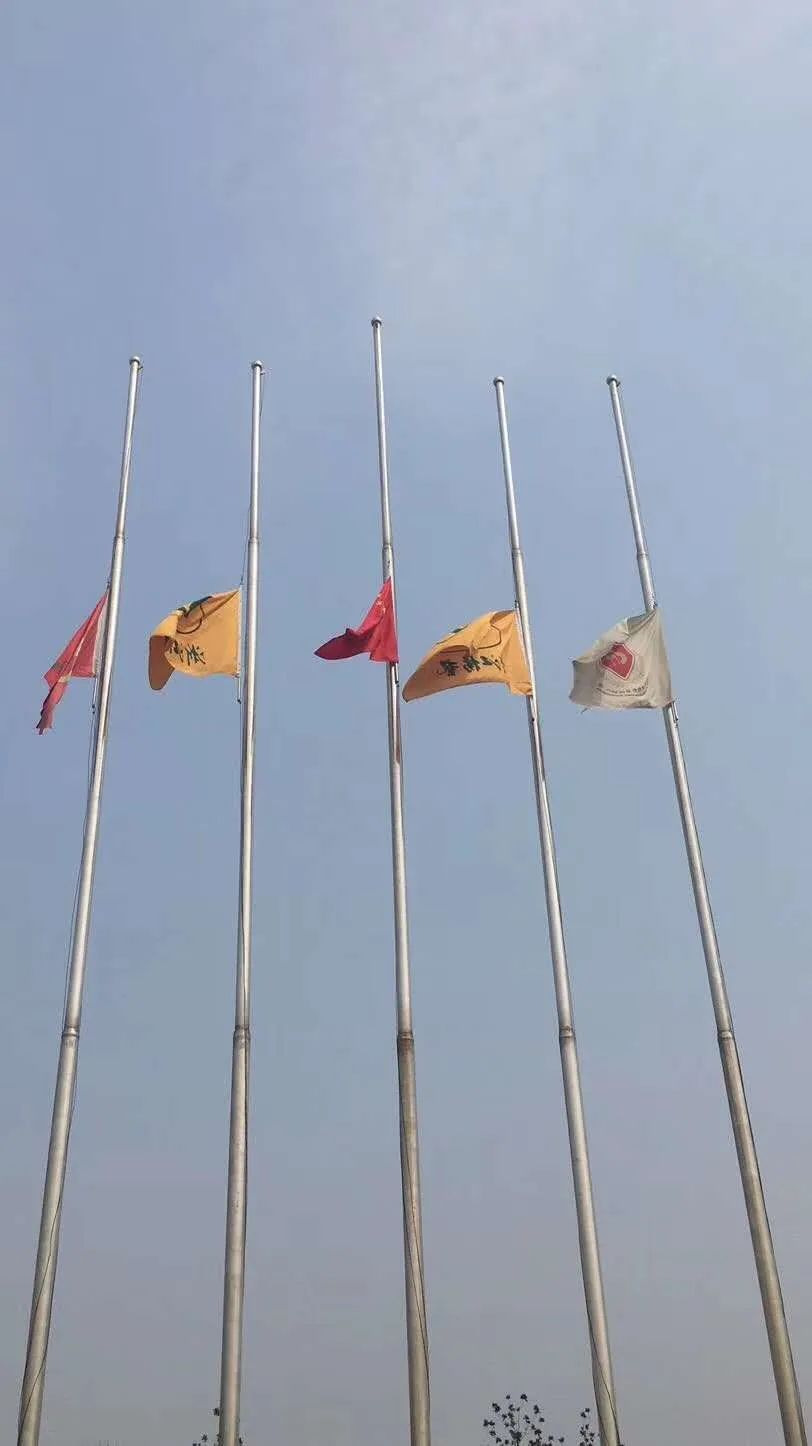 ��ҳ - ���ɱ����ǹ��ʹٷ���վ