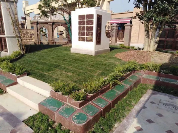 ��ҳ - ���ɱ����ǹ��ʹٷ���վ