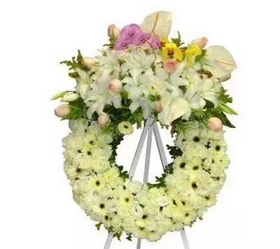 ��ҳ - ���ɱ����ǹ��ʹٷ���վ