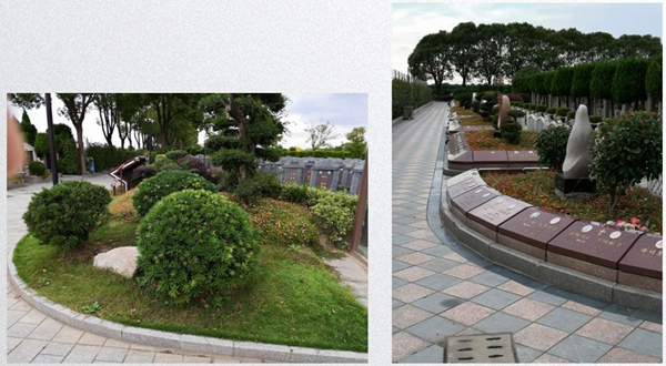 ��ҳ - ���ɱ����ǹ��ʹٷ���վ