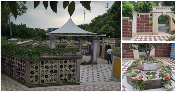 ��ҳ - ���ɱ����ǹ��ʹٷ���վ