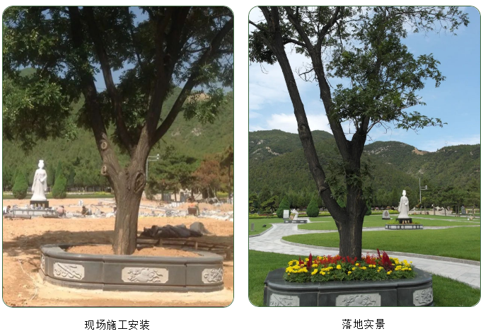 ��ҳ - ���ɱ����ǹ��ʹٷ���վ