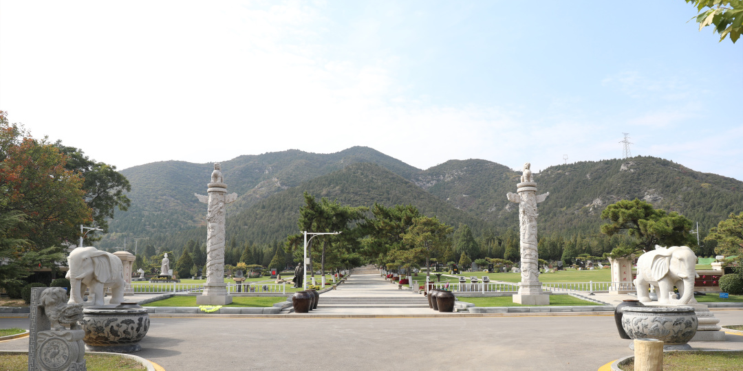 ��ҳ - ���ɱ����ǹ��ʹٷ���վ