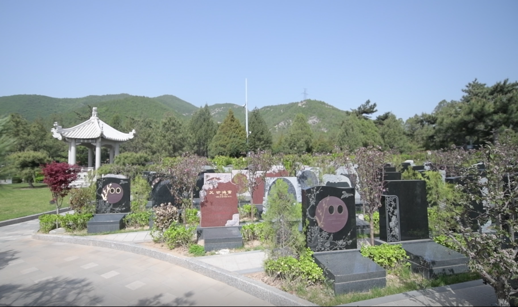 ��ҳ - ���ɱ����ǹ��ʹٷ���վ